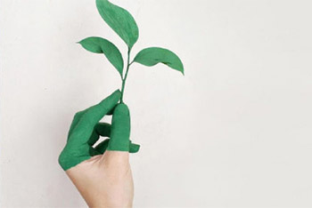 a hand with fingers painted green holding a plant stem up