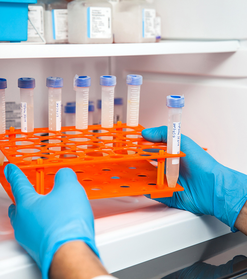 latex gloved hands putting on shelf orange vile cube with several tubes of chemicals